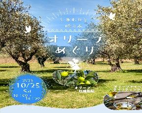 オリーブ巡り